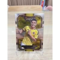 ราคา 2017-18 Panini Select Soccer : Colombia - Base Set (Base,Multi-Color,Silver) (20702693441)
