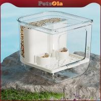 ราคา PETSOLA เครื่องให้อาหารนกอัตโนมัติ เครื่องจ่ายอาหารแบบใส เครื่องให้อาหารกรงสัตว์เลี้ยงสําหรับ (42375555022)