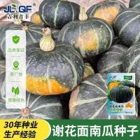 ราคา [ปลูกท้องถิ่น]ท้องถิ่นปลูกก๋วยเตี๋ยวเมล็ดฟักทองเก่าวาไรตี้รังตะวันออกเฉียงเหนือเมล็ดแตงโมเนื้อหนาบะหมี่หวานผิวสีเขียวเนื้อสีเหลืองเมล็ดแตงโมผลไม้ท้องถิ่นปลูก] (42876564150)