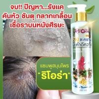 ราคา แชมพูขิง ชะคราม มะคำ แก้คัน ชันตุ รังแค กลากเกลื้อน เชื้อรา บนหนังศีรษะ (8619771487)