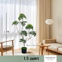 ราคา ต้นตีนเป็ดปลอม Size M (1.5 เมตร) พร้อมกระถาง (25284182799)