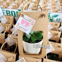 ราคา ของชำร่วยต้นไม้มงคล ☘️แพ็คละ10ชุด☘️ (25882413497)