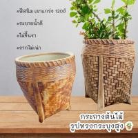 ราคา กระถางเซรามิก ทรงกระบุงโบราณ เผาแกร่ง กว้าง 5 นิ้ว สูง 5.5 นิ้ว (10399801400)