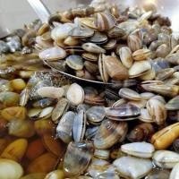 ราคา หอยเสียบดองน้ำปลา สะอาด อร่อย หรอยแรง (28055241063)