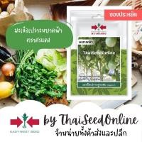 ราคา ศรแดง VP3 ซฟ เมล็ดพันธุ์ มะเขือเปราะลูกผสม หยาดฟ้า 60เมล็ด ตราศรแดง Eggplant (1370068586)