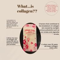 ราคา Fish Collagen Powder Bella colla PFP-25P(คอลลาเจน เบลลา พีเอฟพี-25พี) (7931636153)