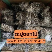 ราคา ตะปู ตะปูตอกไม้ ทุกขนาด 1นิ้ว 1.5นิ้ว 2นิ้ว 2.5นิ้ว 3นิ้ว 4นิ้ว 5นิ้ว (29552166346)