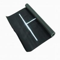 ราคา แผ่นยางกระโดดไกล แผ่นยางวัดระยะกระโดดไกล PROSTAR (1710659071)