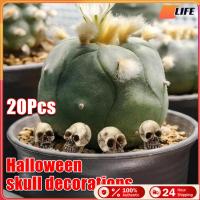 ราคา เก็บเงินปลายทาง！20ชิ้น โมเดลหัวกะโหลกเรซิ่น ขนาดเล็ก DIY สําหรับตกแต่งบ้านผีสิง ฮาโลวีน (50002743970)