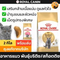 ราคา Royal Canin British Scottish Shorthair โรยัลคานิน อาหารแมว บริติช Kitten รอยัลคานิน ลูกแมว สก็อตติช ขนาด 2kg (25186578680)