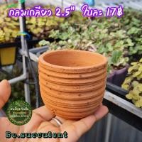 ราคา กระถางดินเผา กลมเกลียว 2.5นิ้ว ไม้อวบน้ำแคคตัส ปลูกฮาโวเทีย ใส่ต้นไม้จิ๋วเล็ก เครื่องปั้นดินเผา ของแต่งบ้าน จัดสวน (14174467369)