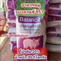 ราคา อาหารหมูบาลานซ์ เบอร์ 951 โปรตีน 20% (แบบแบ่งขาย และกระสอบ) เหมาะสำหรับหมูหย่านม ถึงน้ำหนัก 25 กิโล (28364599519)