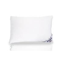 ราคา SB Design Square หมอนหนุนขนห่านเทียม Dunlopillo รุ่น Nano down Firm (27918997834)