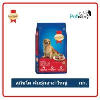 ราคา (1.5กก.) Smartheart อาหารสุนัข รสเนื้ออบ สุนัขโต -พันธุ์กลาง-ใหญ่ (หน้าโกลเด้น สมาร์ทฮาร์ท) (9348169609)