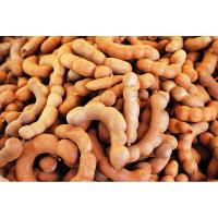 ราคา เมล็ดมะขามหวานเพชรบูรณ์ ปลูกง่าย ต้นพันธุ์ใหญ่ ผลดก จำนวน 20 เมล็ด (4879796912)