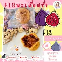 ราคา ลูกฟิก มะเดื่อฝรั่ง อบแห้ง สำหรับนกทุกชนิด1ลูก (20290075516)