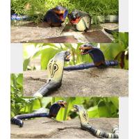 ราคา ♎ ตลก Rc งูหุ่นยนต์เด็กของเล่นเด็กผู้หญิงการควบคุมร (25380143592)