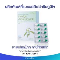 ราคา ยาแคปซูลฟ้าทะลายโจรสกัด ยาแผนโบราณ/ยาสามัญประจำบ้าน (9576805649)