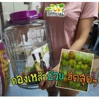 ราคา พร้อมส่ง【โหลแก้วสูญญากาศ】16 ลิตร ใบใหญ่มาก โหลแก้วใหญ่ กลม มีฝาปิด โหลเหล้าบ๊วย ดองเหล้า แก้วหนาสวยงาม (3013950079)