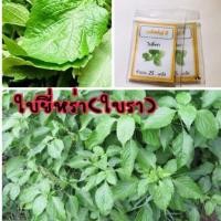 ราคา เมล็ดพันธุ์ ผัก ยี่หร่า หอมรำพรรณ ยี่หร่า (ซื้อ 10 แถม1 คละอย่างได) (4354481222)