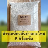 ราคา Nana Rice ข้าวเหนียวสันป่าตอง 5 กิโลกรัม หอมนุ่ม แบรนด์นานาไรซ์ (3659124122)