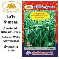 ราคา ภูเขาทอง เมล็ดผักบุ้งจีนใบไผ่ เมล็ดผักบุ้ง เม็ดผักบุ้ง ขนาด 15 กรัม (11311263314)