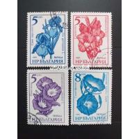 ราคา แสตมป์มือสองจากบัลแกเรีย (42452432681)