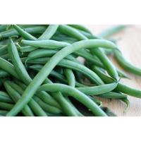 ราคา ต้นกล้าถั่วแขก (Snap bean) พร้อมปลูกกล้าละ 7 บาท ซื้อ 10แถม 2 (22872686382)