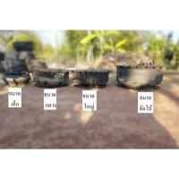 ราคา กระถางยางรถยนต์ กระถางต้นไม้จากยางรถยนต์ กระถาง กระถางใส่ต้นไม้**จากฝีมือกลุ่มผู้สูงวัยในชุมชน ส่งเสริมโครงการชุมชน*** (27288479492)