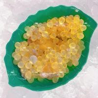 ราคา ไข่ปลา ริวกิว เรียวเซียว ไซส์ M ‼️ฟรีโฟม‼️ (20381062577)