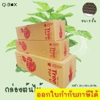 ราคา กล่องลูกฟูก 5 ชั้น (กล่องใส่ต้นไม้) (แพ็ค 5 ใบ) กล่องกระดาษลูกฟูก ลังกระดาษ กล่องลัง กล่องกระดาษ ส่งฟรีทั่วประเทศ (22774915137)