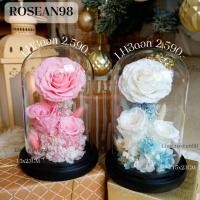 ราคา กุหลาบในโหลแก้ว กุหลาบอมตะ LH3ดอก กุหลาบชมพู (29023664982)