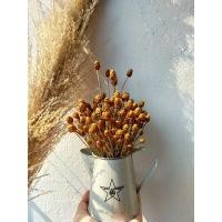 ราคา ดอกไม้เเห้งดอกหญ้าเเห้ง "กระถินทุ่งช่อเล็ก"ดอกจิ๋ว (8016556425)