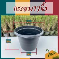 ราคา กระถางพลาสติก17นิ้ว กระถาง17นิ้ว กระถางพลาสติก กระถางดำ กระถางปลูกต้นไม้ ปลูกต้นไม้ (23567064173)