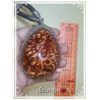 ราคา เบี้ยแก้เก่าแท้ไม่ทราบที่ (22571762000)