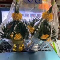 ราคา บายศรี บายศรีพรหม บายศรีเทพ ขนาดพาน 10ซม. (5235779858)