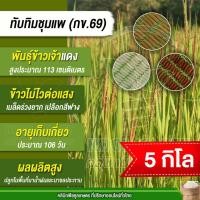ราคา เมล็ดพันธุ์​ข้าว ข้าวจ้าวแดง ทับทิมชุมแพ กข.69 นาปี นาปรัง ไม่ไวแสง ต้นเตี้ย หอมนุ่มนาน 5 กก. คูลเกษตร ไรซ์ KR90 (26087797987)