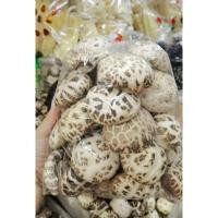 ราคา เห็ดหอมญี่ปุ่น (白花菇AAAA4) 4A4ขนาด 200g เห็ดเห็ด หอมญี่ปุ่น แท้เนื้อ แน่น กลิ่น หอม คัดเกรดที่ดีที่สุด สา มาเตรียมอ (11521277103)