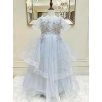 ราคา เดรสออกงานราตรียาวแขนตุ๊กตา สีฟ้าคราม ดีเทลปักลูกไม้เลื่อมสีเงินที่กลางอก (24507073650)