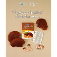 ราคา เห็ดหลินจือสกัดแคปซูลตรามิน-ไนท์ (3419482488)