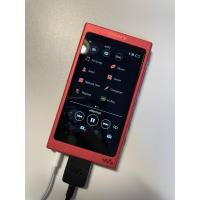 ราคา เครื่องเล่นเพลงแบบพกพา SONY Walkman รุ่น NW-A45 (27973268362)