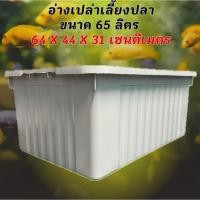 ราคา อ่างเลี้ยงปลา 65 ลิตร อ่างเปล่าสีขาวครีม 64x44x31ซ. อ่างปลาบอลลูน อ่างปลากัด อ่างปลาสวย กะบะเลี้ยงปลา อ่างเลี้ยงปลา (44160681830)