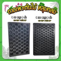 ราคา ถาดเพาะต้นอ่อน ถาดเพาะชำ ถาดเพาะเมล็ด แบบหลุมกลม 60 / 104 หลุม (13758459912)