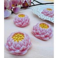 ราคา อาลัวดอกบัวหลวงกล่องโดมทอง (19473900637)