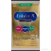 ราคา เอนฟาแลคเอพลัสมายด์โปรโฉมใหม่สูตร1เพิ่ม2'flชนิดกล่อง 160 กรัมสูตรหนึ่งEnfalacA+Mindpro1box160gram (11623212159)