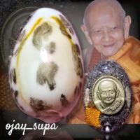 ราคา เบี้ยแก้ (รุ่นเศรษฐีเงินล้าน) หลวงปู่หงษ์ พรหมปัญโญ (เบี้ยแก้ภควจั่น) จัดสร้างปี 2554 (40565954844)