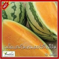 ราคา 10 เมล็ด แตงโมเทนเดอร์สวีทสีส้ม Tender Sweet Orange Watermelon เมล็ดแตงโมเทนเดอร์ สวีทสีส้ม แตงโมส้ม (4169039894)