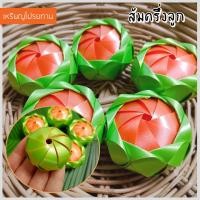 ราคา เหรียญโปรยทาน ส้ม ตัวเปล่า ใส่เหรียญทีหลังได้ โปรยทานงานบวช งานบุญ งานกฐิน (19756318894)