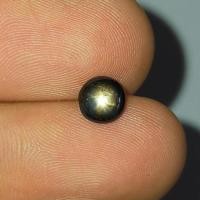ราคา พลอย แบล็ค สตาร์ แซฟไฟร์ ดิบ ธรรมชาติ แท้ ( Unheated Natural Black Star Sapphire ) หนัก 1.33 กะรัต (20671318302)