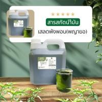 ราคา สารสกัดน้ำมันเสลดพังพอนตัวเมีย(พญายอ)เข้มข้น (25695459787)